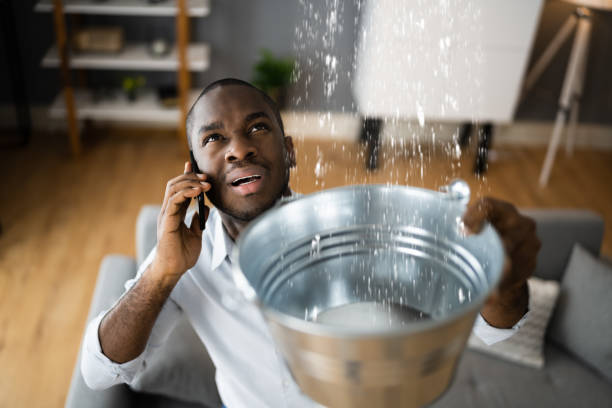 Best Basement water damage restoration  in Farr West, UT