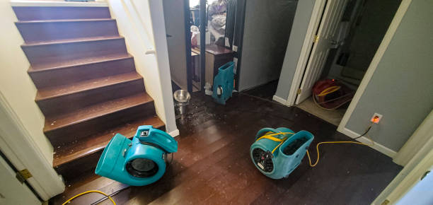 Reliable Farr West, UT Water damage restoration Solutions