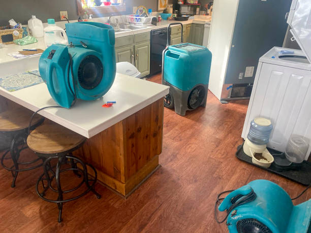 Best Residential water damage restoration  in Farr West, UT