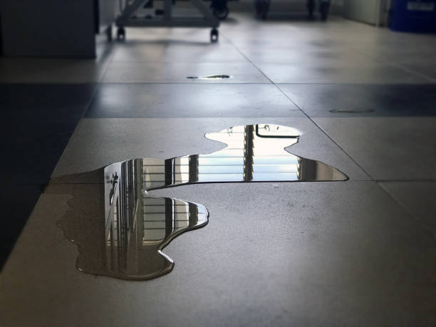 Best Basement water damage restoration  in Farr West, UT