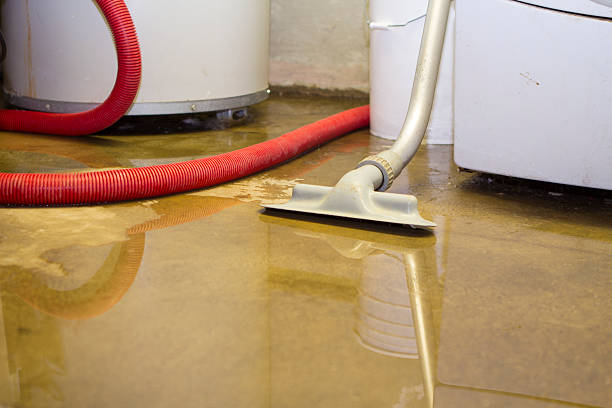 Best Flooded house restoration  in Farr West, UT