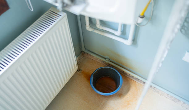 Best Flood restoration services  in Farr West, UT