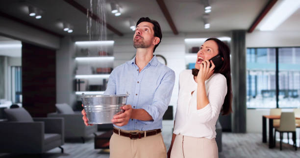 Best Basement water damage restoration  in Farr West, UT